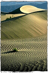 Death Valley Dunes 1